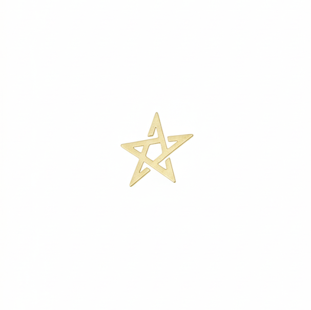 18k gold Moroccan star brooch